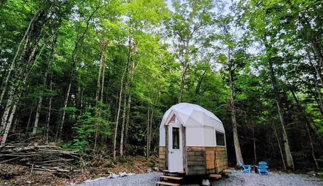 Stargazing Cabin with River Access in Marmora