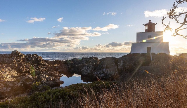 Steps from the Beach! ~ Near Wild Pacific Trail! ⎮ Orca