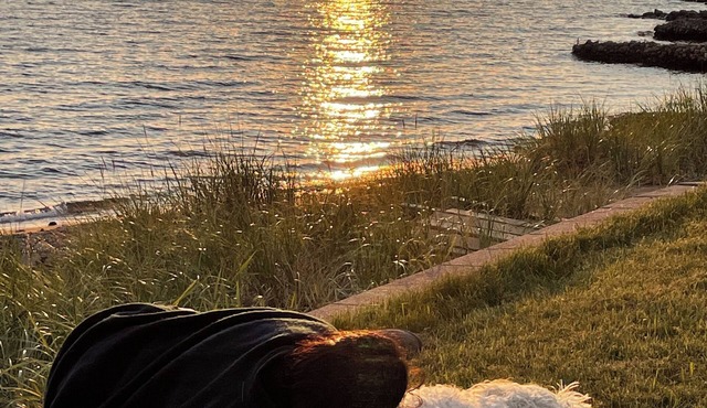 Stunning sunsets, 5000 sq ft bungalow, 300 ft sand beach, tons of luxury and fun