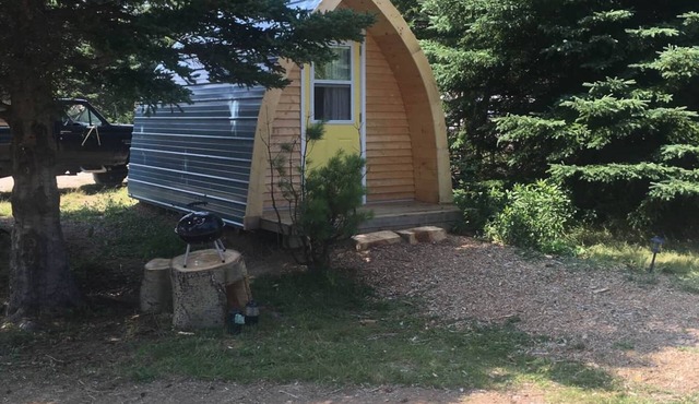 Sugar Maple Camping Pod