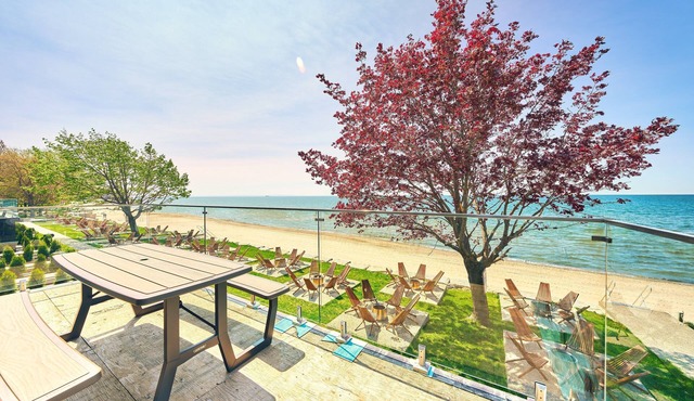 Suite 216: Beautiful 2-Bedroom Beachfront Suite