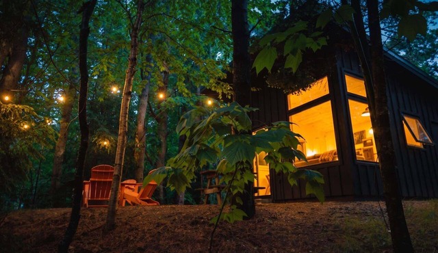 Sunlit modern cabin w/full bath & kitchen - 20