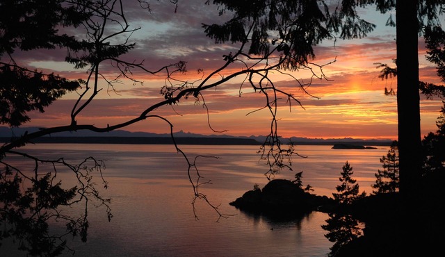 Sunshine Coast Gem : Close to Savary Island with conveniences of the Mainland