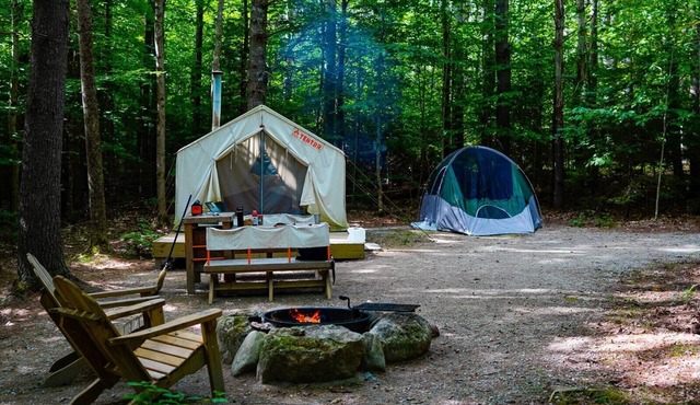 Tentrr State Park Site - Maine Bradbury State Park - Site 1 - Single Camp in Pownal
