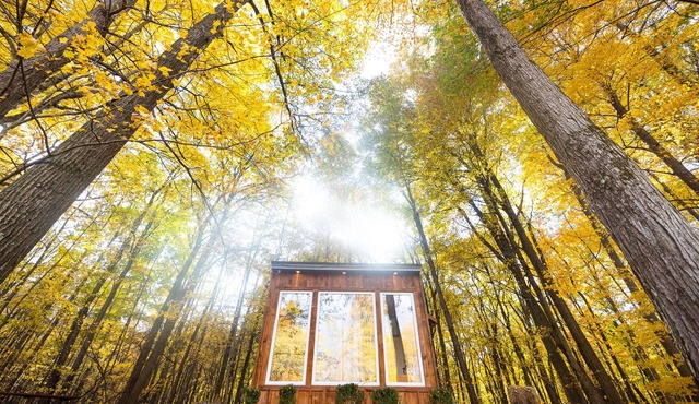 The Adler Cabin at Fernwood Hills