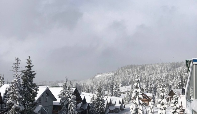 The Akasha is a true ski in ski out property on Foster's Place