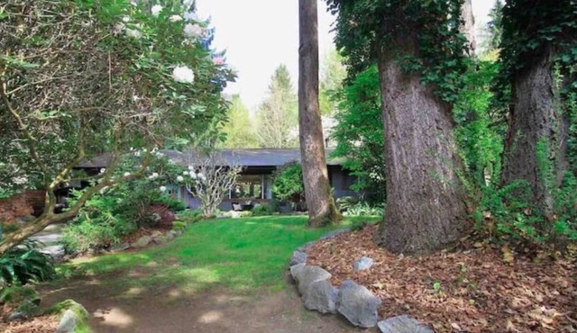 The Birch Cabin