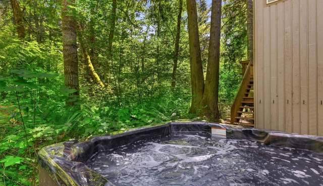 The Burrow - Your Forest Refuge by the Sandy River in Rhododendron
