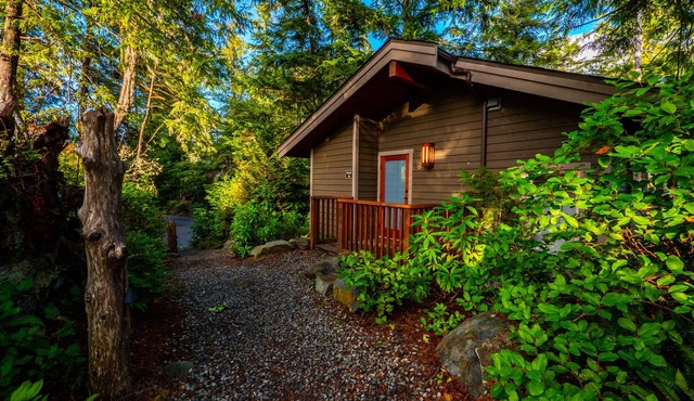 The Cabins - 2 Bedroom - Rainforest Upper Canopy!