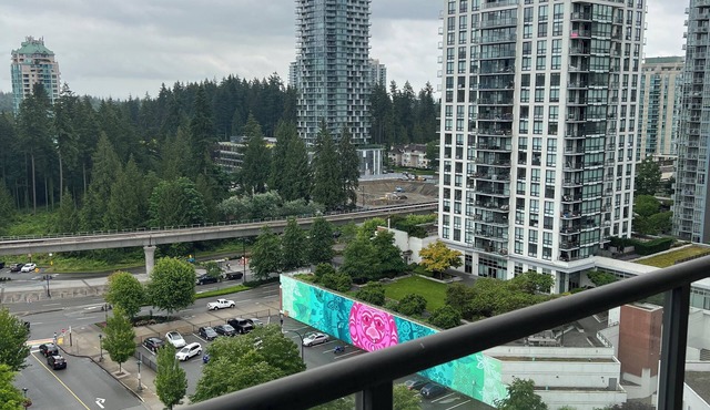 The Central Peak: 6 Guest Rental Condo