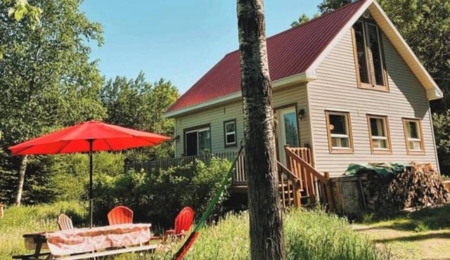 The Cozy Little Cabin - Perfect for Fishing & Hiking