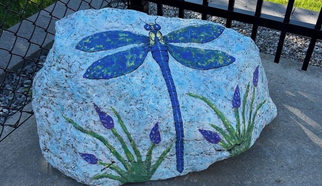 The Dragonfly Den Your Home away from Home