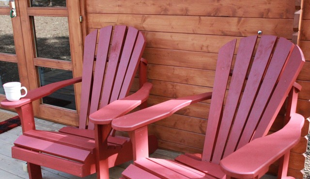 The Elderberry Cabin Bunkie