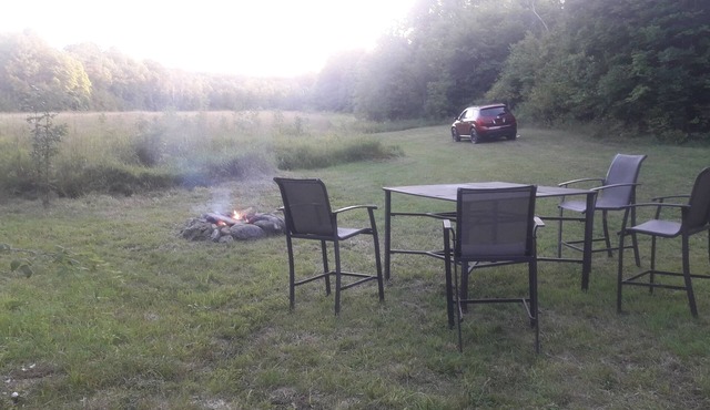 The Meadow - campsite (BYO tent)- park at site, pet and family friendly!