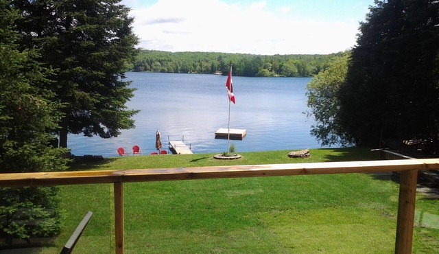 Tranquil Buck Lake Cottage-8 Guests- Winterized-Star Gazers Dream! in Sprucedale