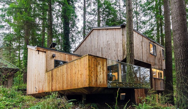 Treehouse in the Woods