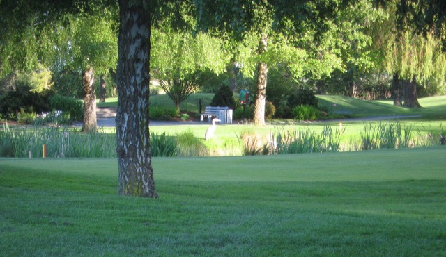 " TSAWWASSEN *5 STARS GOLF VIEW re-opens! « "