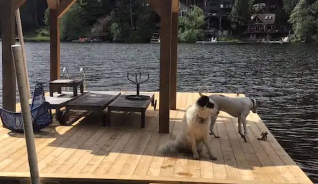 Unique Hand built log cottage on the lake with views and hot tub.