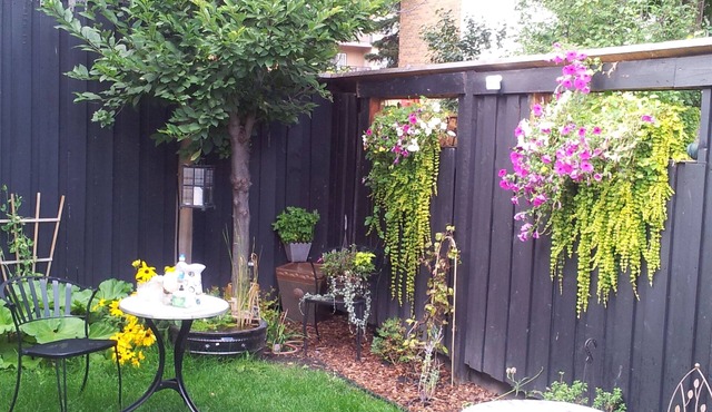 Urban Cottage Oasis, Sunnyside lower suite