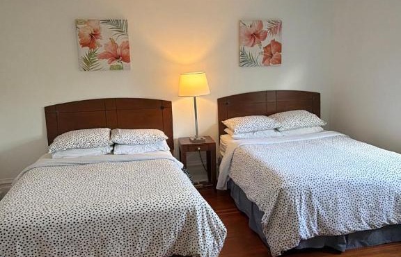 Van Guesthouse