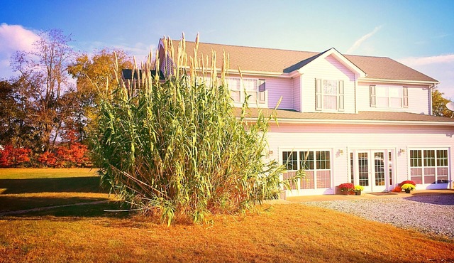 WELCOME Cave Visitors! Clean, Peaceful Home in the Country. Game Room/Mini Gym! in Bowling Green