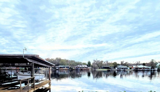 Welcome to your Waterfront Oasis! Enjoy relaxing steps from the St.John's River. in Astor