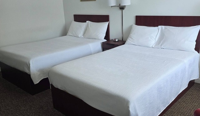 White Fang Motel