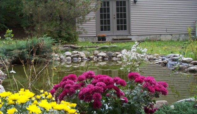 White Mountain Retreat - Family/Pet Friendly- Year Round : Ski areas Close by! in Bethlehem
