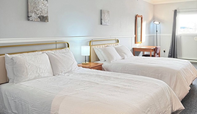 Whitehore Downtown-Ski/hot spring/Northern Light Lon-term stay