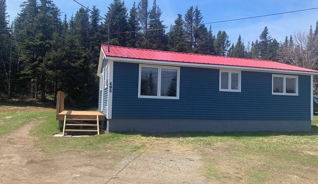 Wild Cove Cabin