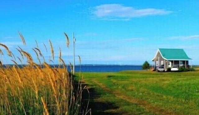 Windy Dreams: an idyllic, cozy seaside PEI cottage
