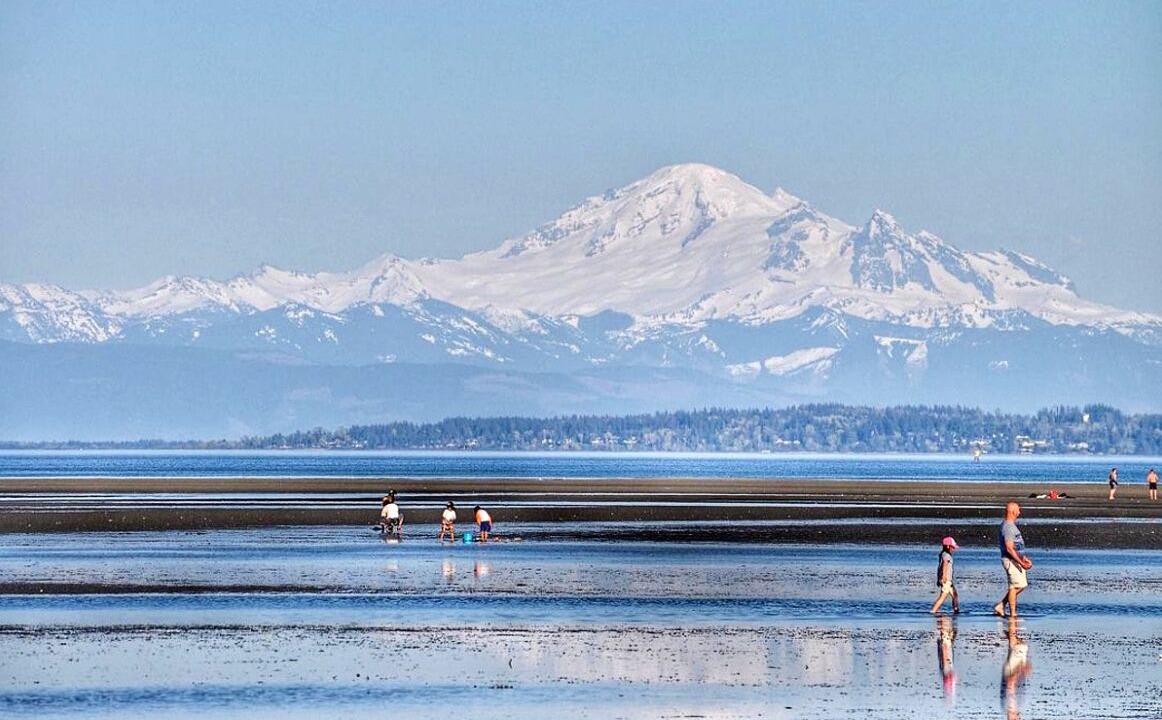 Boundary Bay Apartment | Brand new apartment by the beach