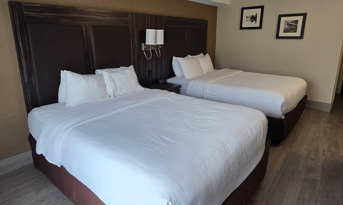 Trenton Hotel | Comfort Inn Trenton