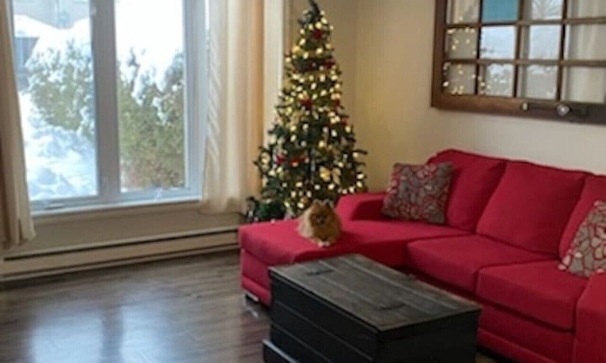 Gatineau Apartment | Cute town house in Gatineau