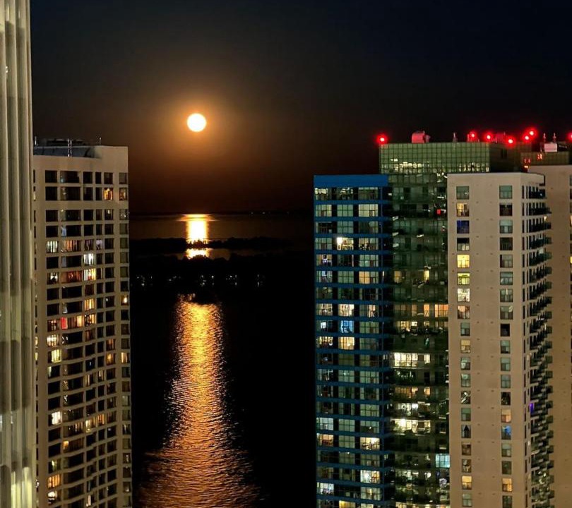 Toronto Entertainment District Apartment | Chic 2 Bedroom 2 Bathroom Panoramic CN Tower Views Condo With Free Parking