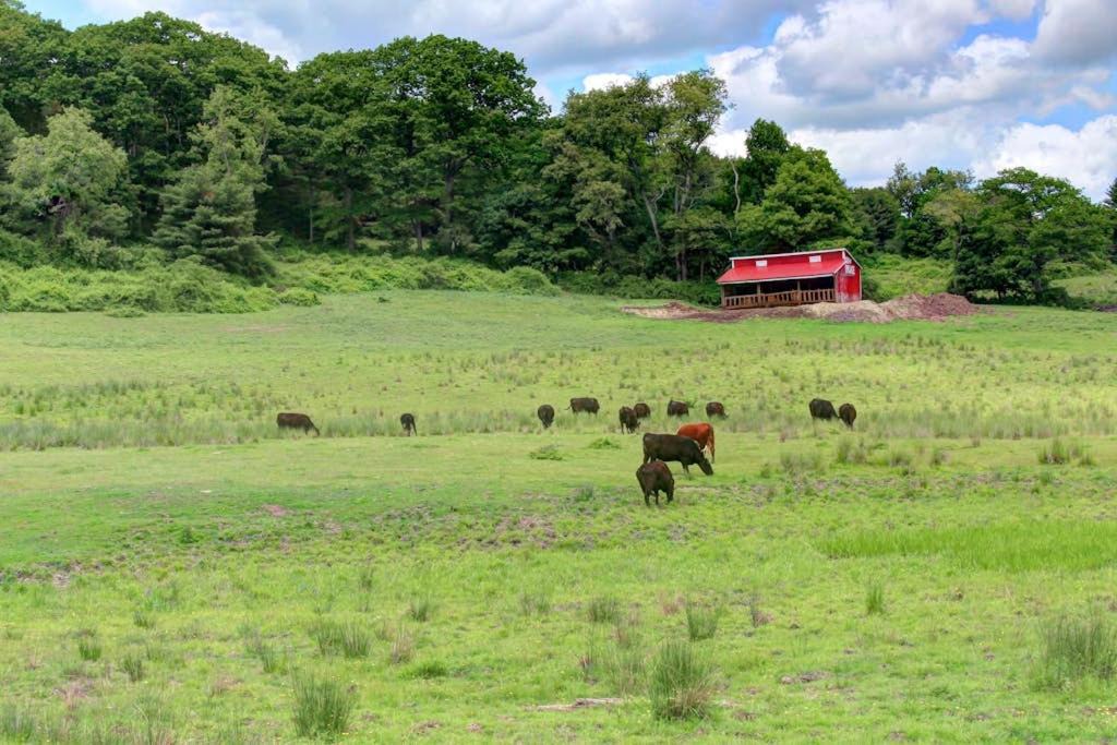 Newcastle House | Newly Restored Waterfront Cottage with Private Dock, Fireplace, & Farm - Dogs OK