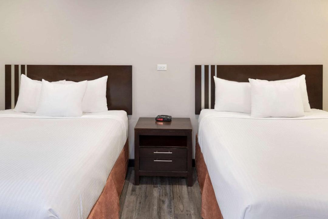 Medicine Hat Hotel | Econo Lodge Inn & Suites Medicine Hat Highway 1