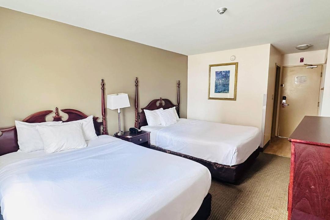 Sunnyside Cabin | Econo Lodge City Centre