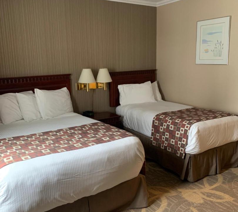 Gander Hotel | Albatross Hotel