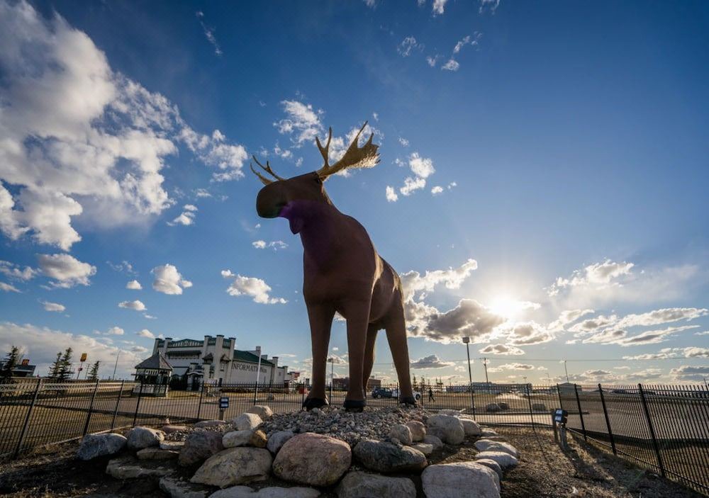 Photo of Others in Moose Jaw