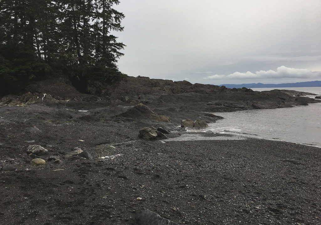 Photo of Others in Port Renfrew