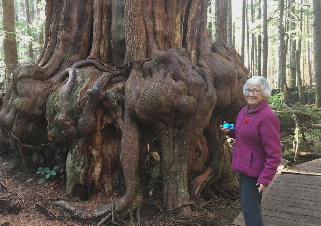 Photo of Others in Port Renfrew
