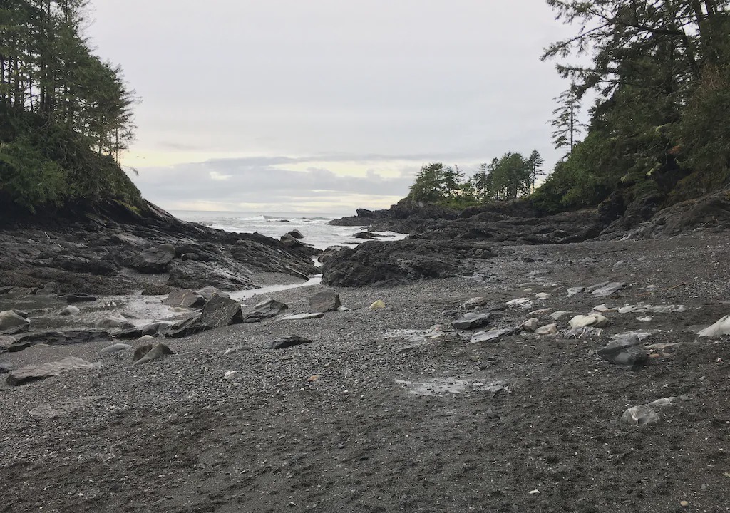 Photo of Others in Port Renfrew