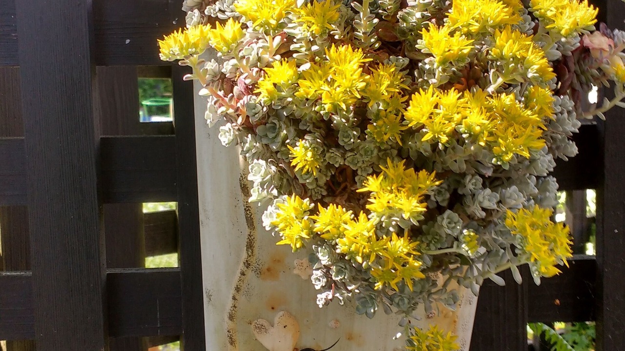 Photo of Outdoor in Saanich West