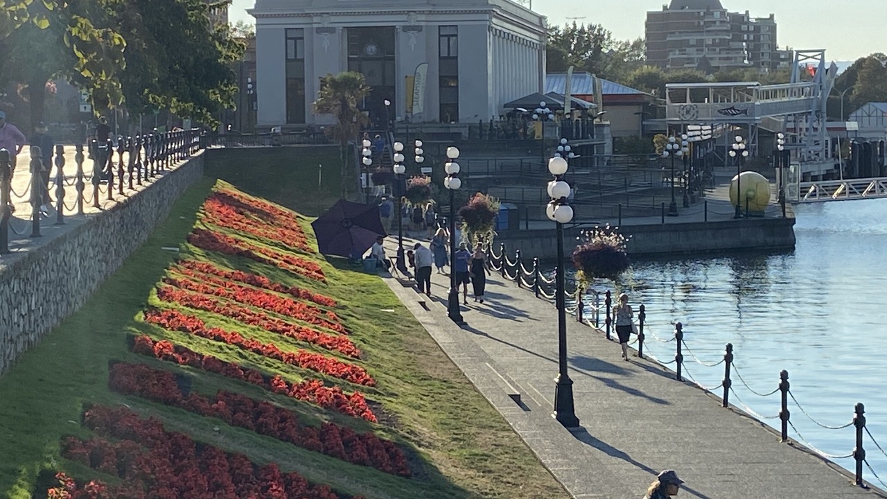 Photo of Outdoor in James Bay