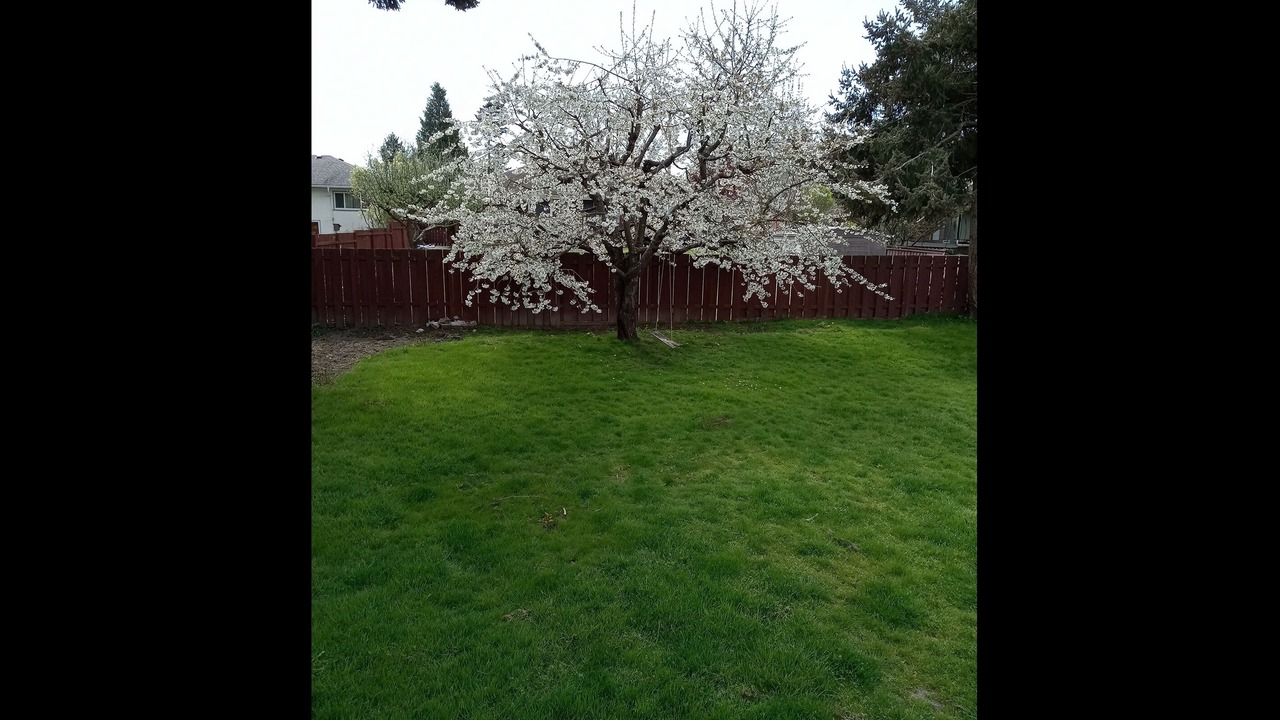 Photo of Outdoor in Saanich West