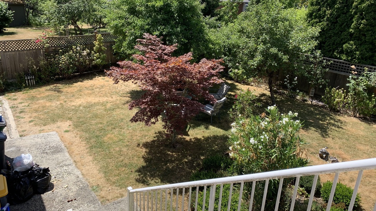 Photo of Outdoor in Victoria