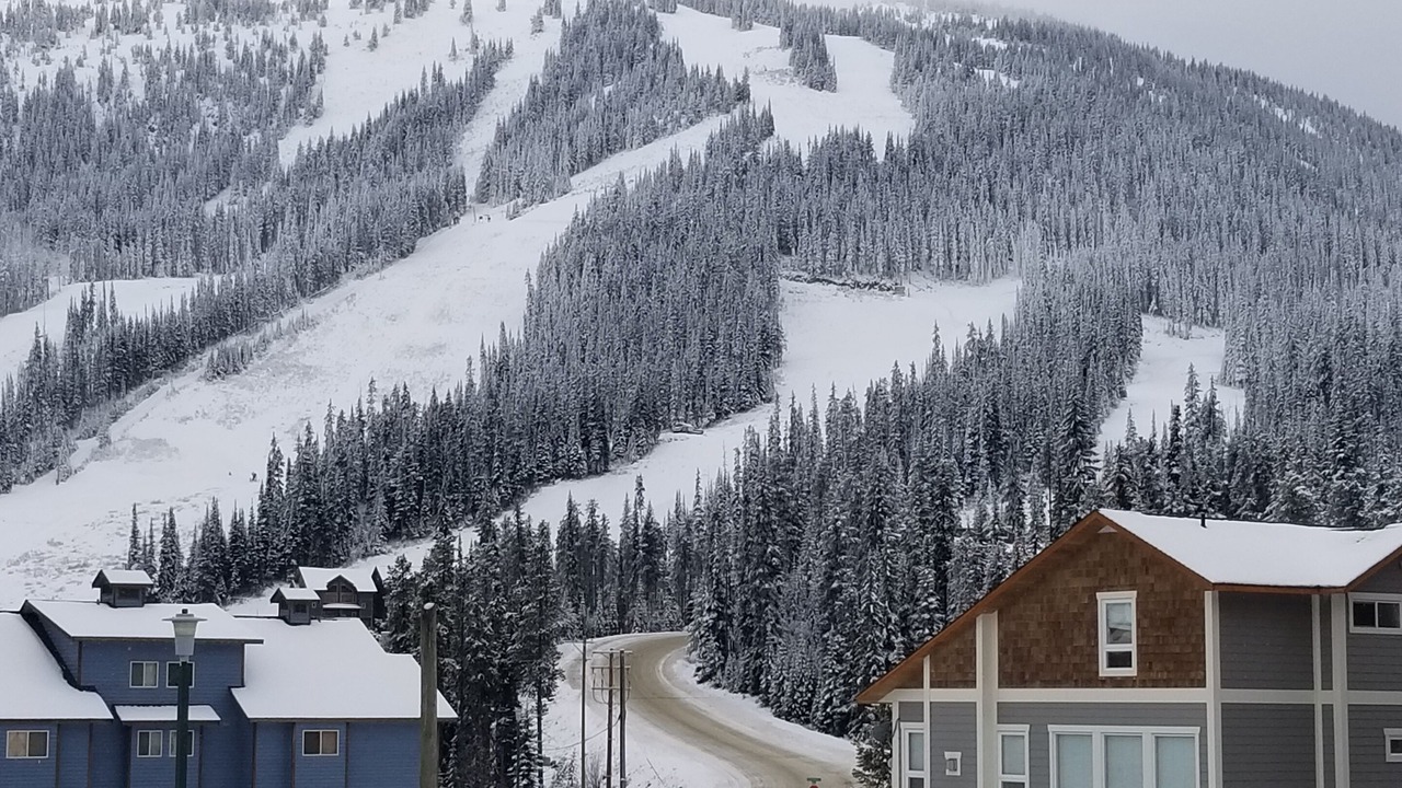 Photo of Outdoor in Apex Mountain