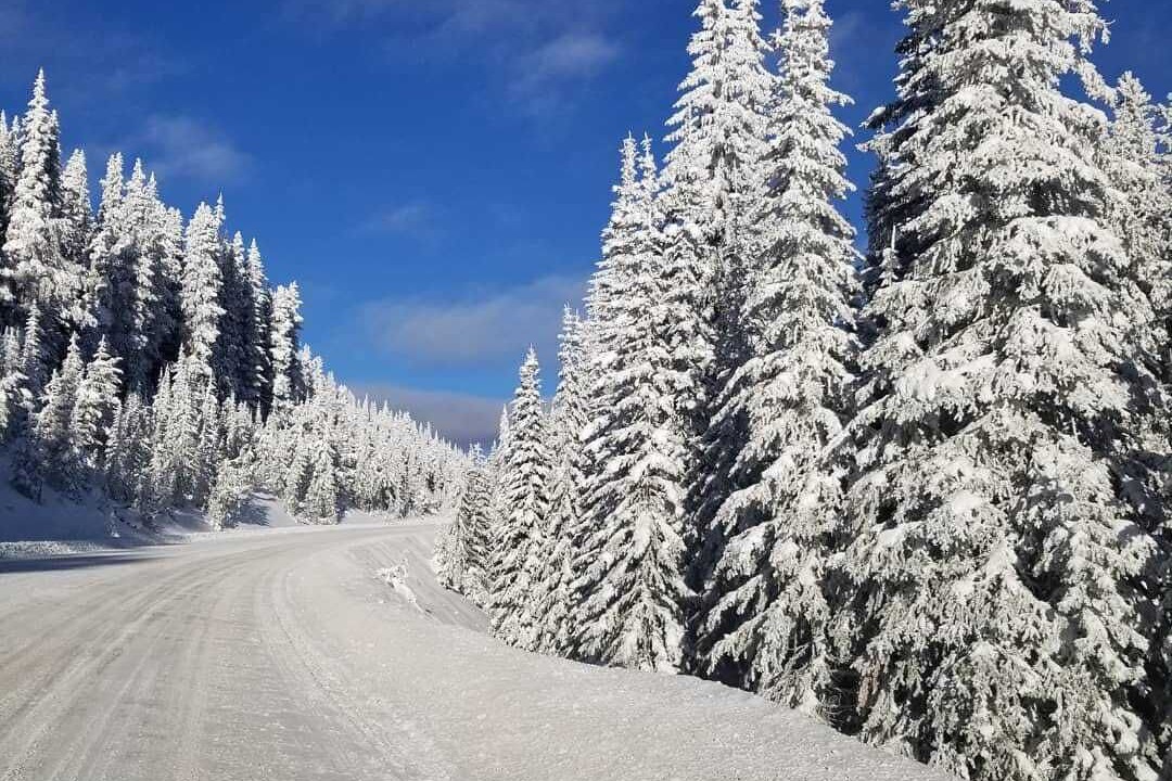 Photo of Others in Apex Mountain