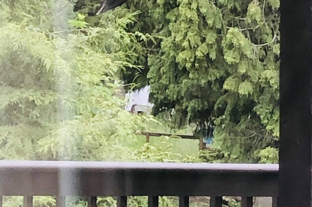 Photo of Patio Balcony in Regional District of Nanaimo